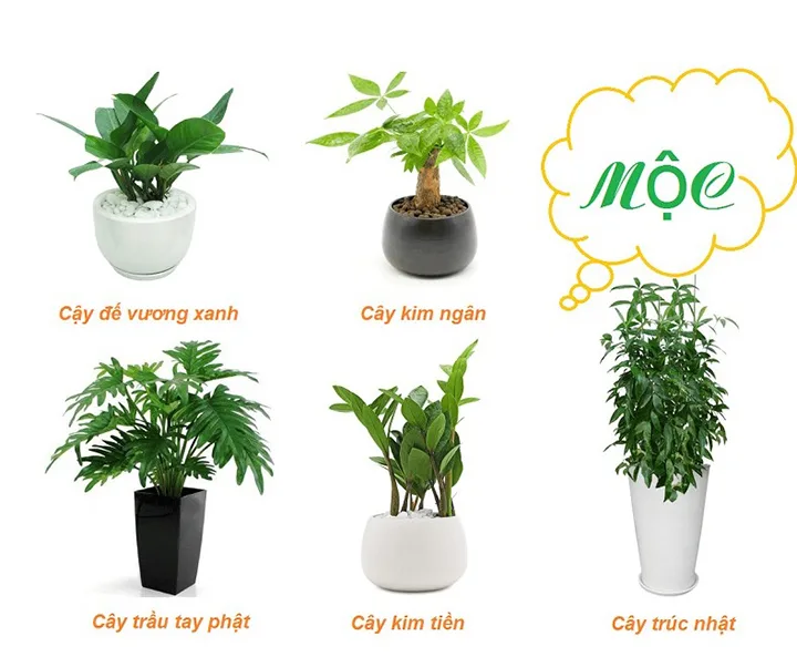 tuyet-chieu-phong-thuy-cach-hoa-giai-huong-nha-khong-hop-tuoi1