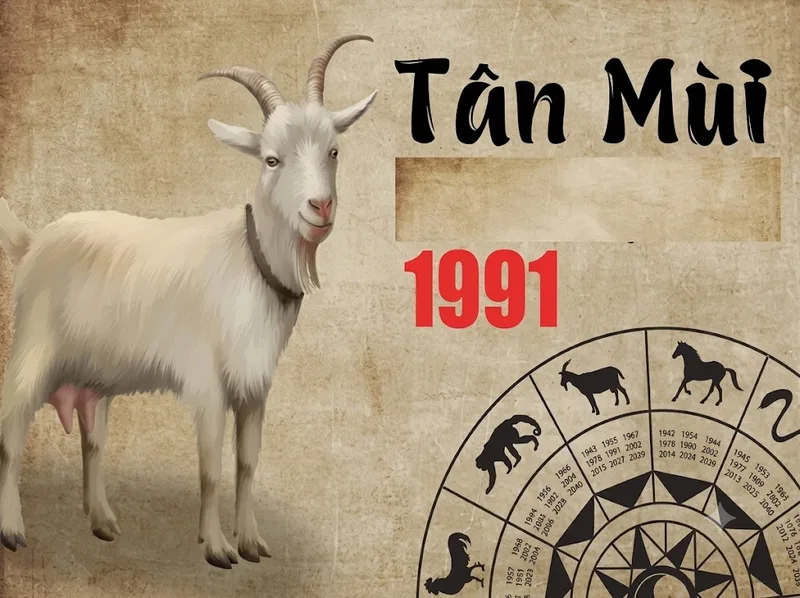 Nam Tân Mùi 1991 có thể tham khảo Tây Nam, Tây Bắc, Tây và Đông Bắc.