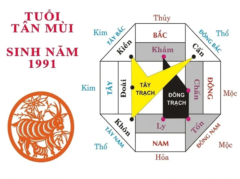 Tra cứu 1991 hợp hướng nào cần xác định đúng cung phi và giới tính gia chủ.