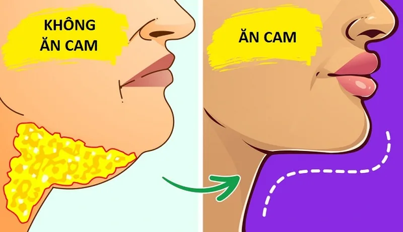 Ăn cam có tác dụng gì đối với sức khỏe?